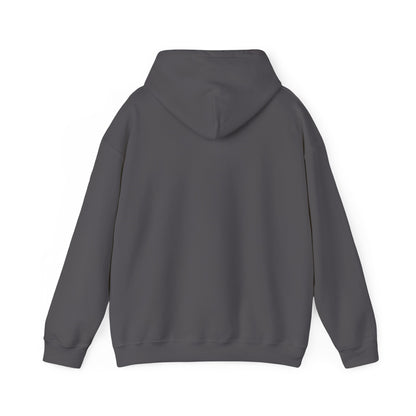 Evening Sit Heavy Blend™ Hooded Sweatshirt